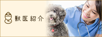 獣医紹介